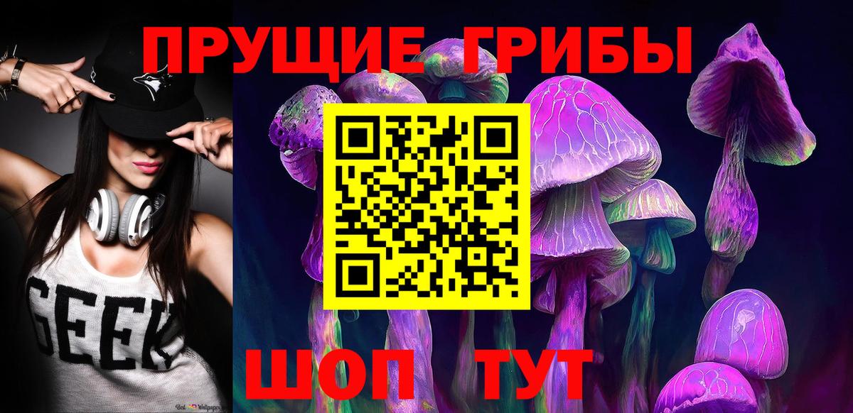 Галлюциногенные грибы Psilocybe Свободный