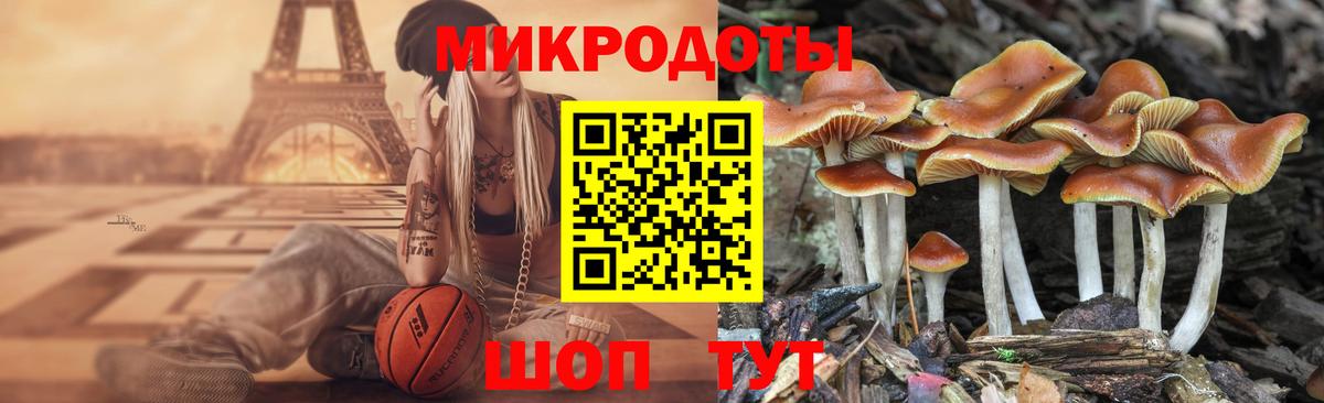 Свободный  Галлюциногенные грибы мухоморы  Вход с VPN 