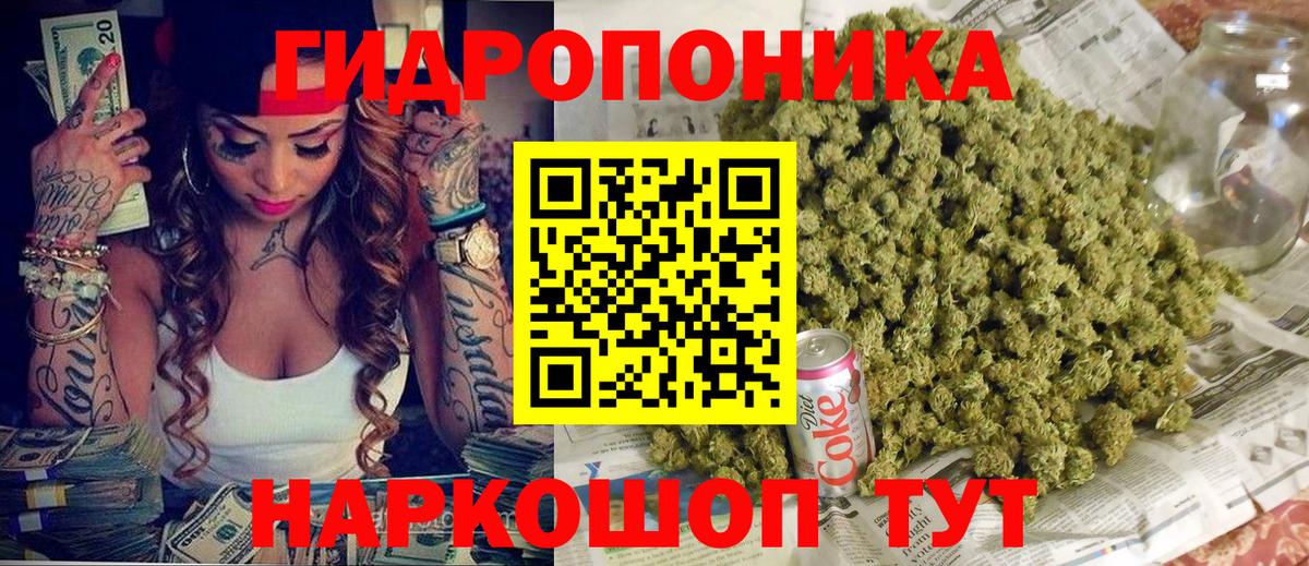Каннабис сатива Свободный